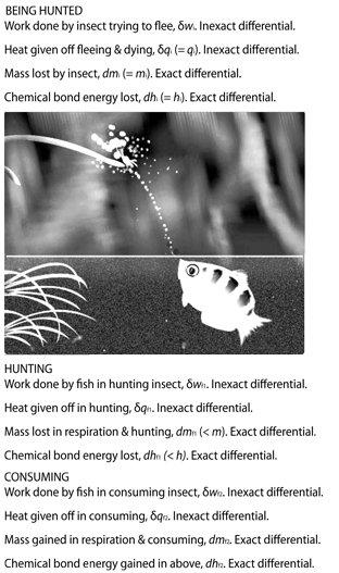 Defining ecology