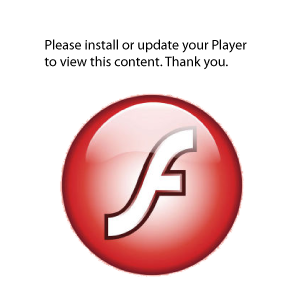 please update your flash player